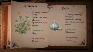 Скриншот 6 к игре Plague Doctor: Medieval Apothecary