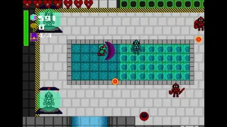 Zelash: Dash and Slash