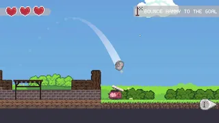 Bouncy Hammy
