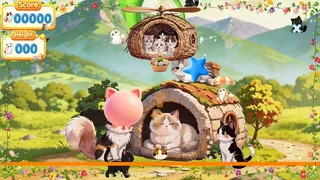 MeowPlay