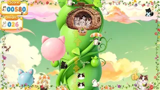 MeowPlay