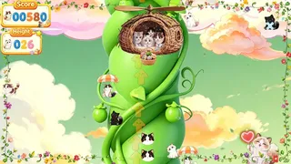 MeowPlay