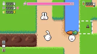 Bunny Colony