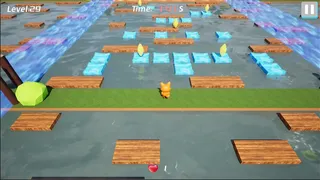 Little Fox's Adventure