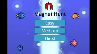 Magnet Hunt