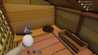 Feathered Fortune