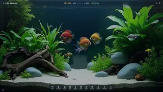 My Beautiful Aquarium