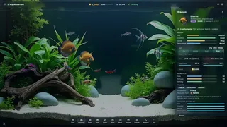 My Beautiful Aquarium