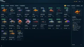My Beautiful Aquarium