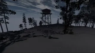 Still Pines: watchtower