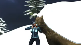 frozen desire