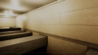 Скриншот 5 к игре Blindstep