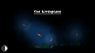 Wandering Squid