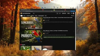 Tiny Desktop Birds