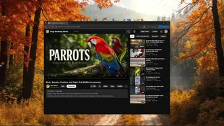 Tiny Desktop Birds