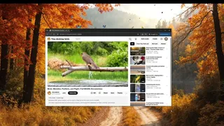 Скриншот 5 к игре Tiny Desktop Birds