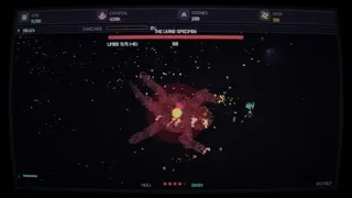 ECHIDNA