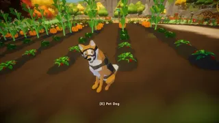 Let's Farm Together