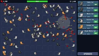 OnlyCats