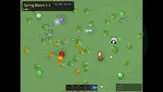 Bug Hunter