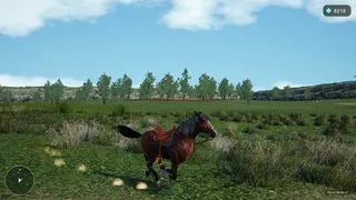 Horse Spirit Valley 2
