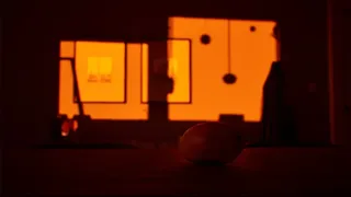 Mango Simulator