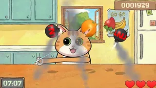 Fruit Slicer