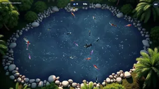 Koi Frenzy