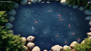 Koi Frenzy