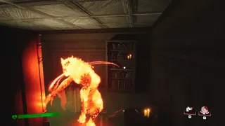 Project Betrayal