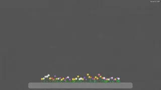 Butterflies & Bloom