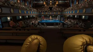 Скриншот 7 к игре The Thrill of the Fight 2