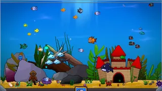 Loopquarium