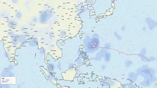 风信来客