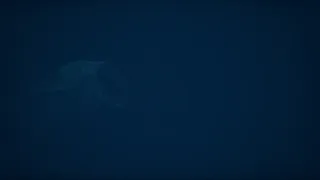 Скриншот 5 к игре SCP: Darkwater