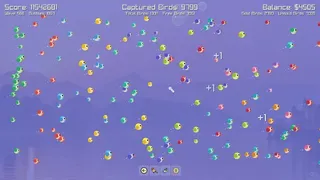 Incremental Birds