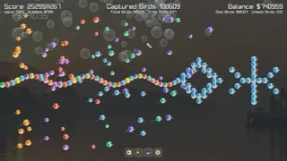 Incremental Birds