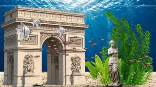 AquaDesk