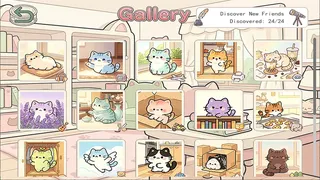 Cats MiaoMiaoMiao~