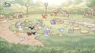 Cats MiaoMiaoMiao~