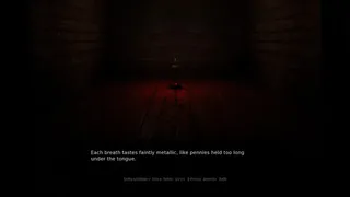 Nocturne Hollow