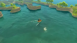 Paddle Cats