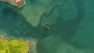Paddle Cats