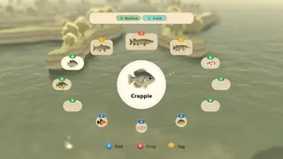 Скриншот 5 к игре Paddle Cats