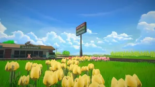 Flower Delivery
