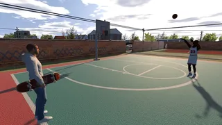 Skate Felon