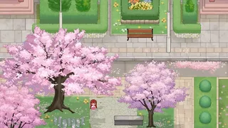 平行校园 2015