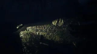 No Way Back