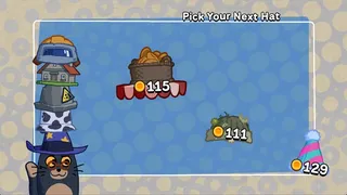 Cats and Hats