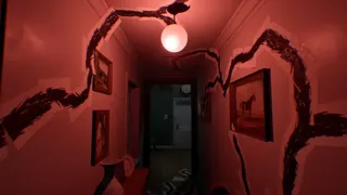 NOXEN